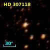 HD 307118