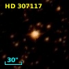 HD 307117