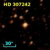 HD 307242
