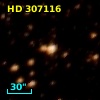 HD 307116