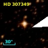 HD 307349