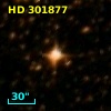 HD 301877