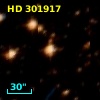 HD 301917