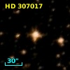 HD 307017