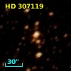 HD 307119