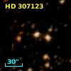 HD 307123
