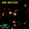 HD 307124