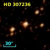 HD 307236