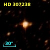 HD 307238