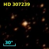 HD 307239