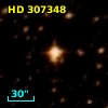 HD 307348