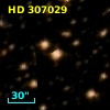 HD 307029