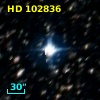 HD 102836