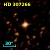 HD 307266
