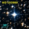 HD 103900
