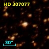 HD 307077