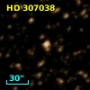 HD 307038