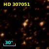 HD 307051