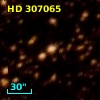 HD 307065