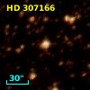HD 307166