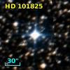 HD 101825