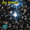 HD 309065