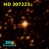 HD 307223