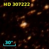 HD 307222