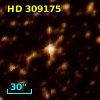 HD 309175