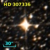HD 307336