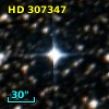 HD 307347