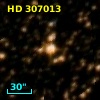 HD 307013