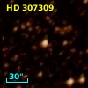 HD 307309