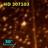 HD 307103