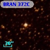 BRAN 372C