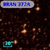 BRAN 372A