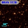 BRAN 372B
