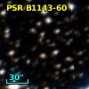 PSR B1143-60