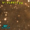 V* V1497 Cyg