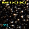 IRAS 11423-6021