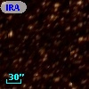 IRAS 11497-6117