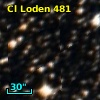 Cl Loden  481