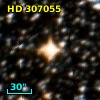 HD 307055