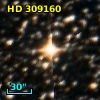 HD 309160