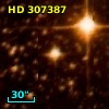HD 307387
