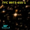 TYC 8973-655-1
