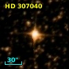 HD 307040