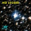 HD 101600