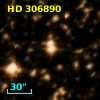 HD 306890