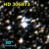 HD 306873